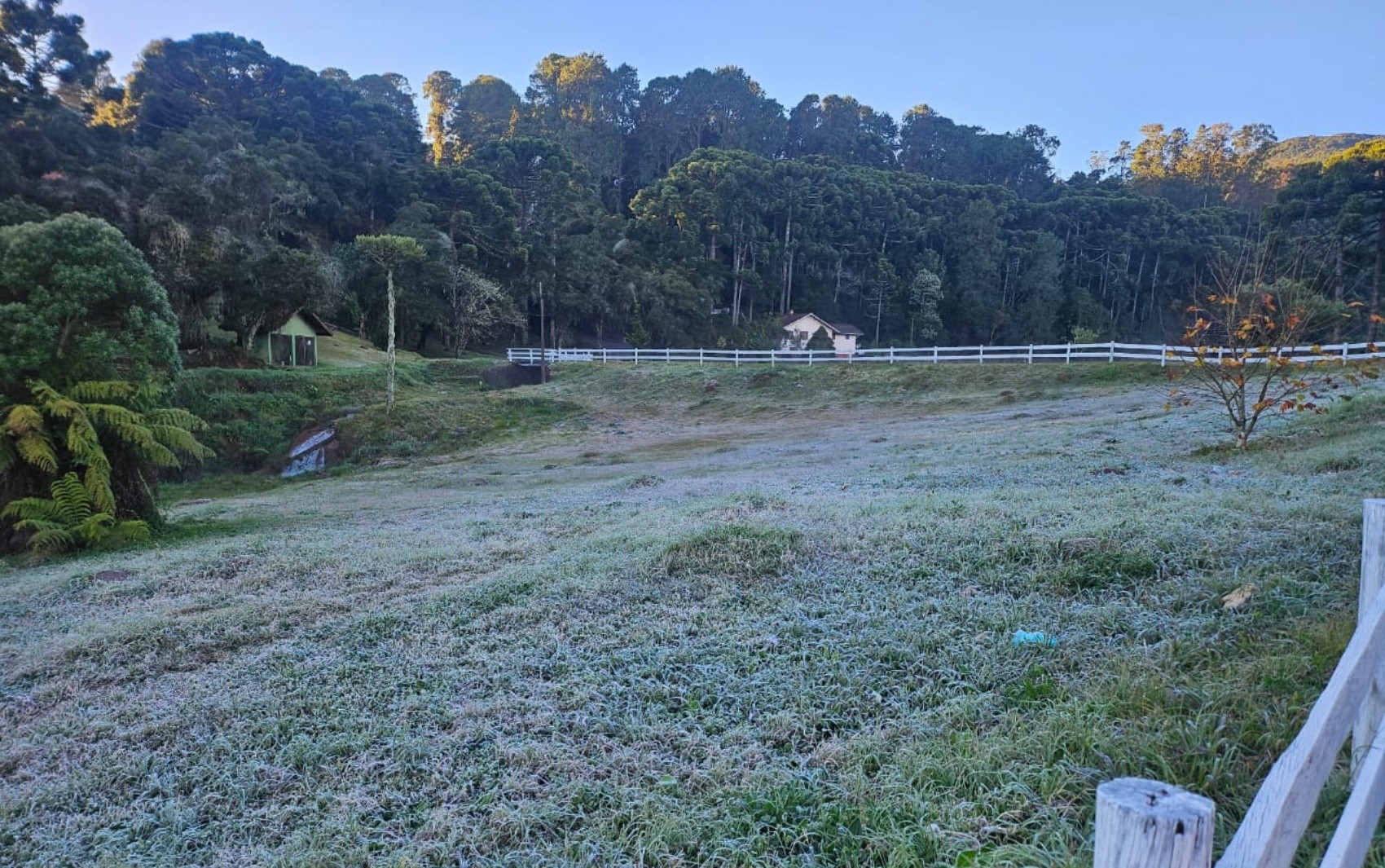 Geada Sul de Minas