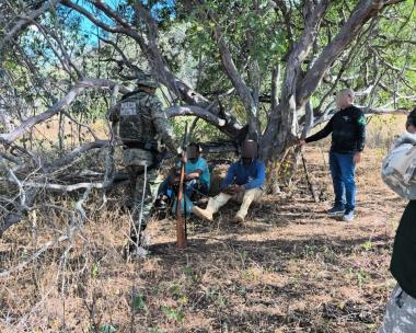 Inema e Polícia Militar combatem caça ilegal de avoantes com operação no Semiárido Baiano
