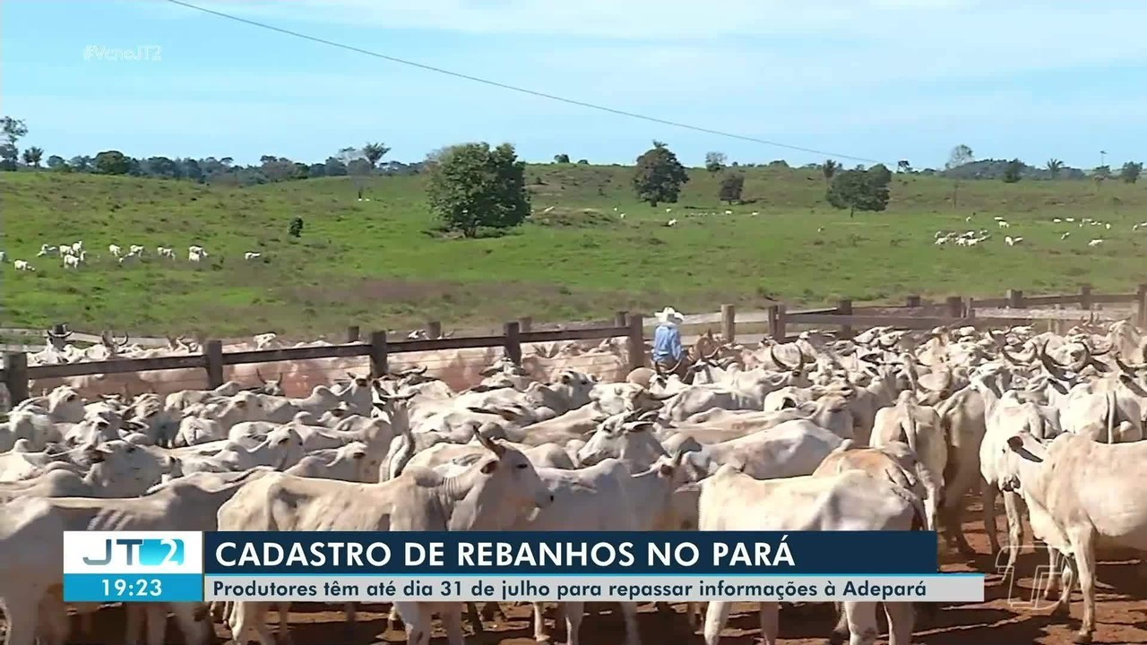 Produtores rurais têm até 31 de julho para atualizar cadastro de rebanhos no Pará