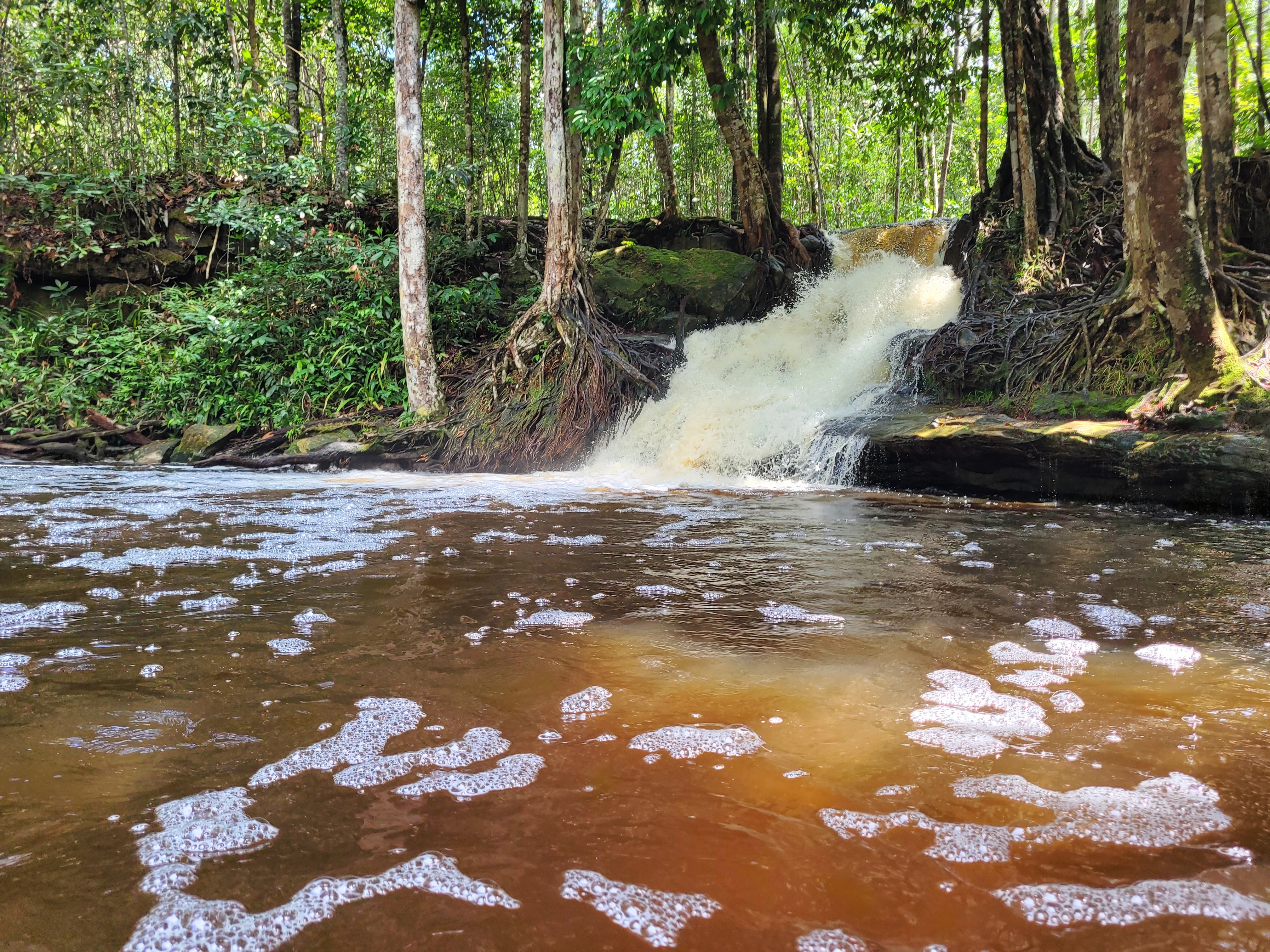 Homem desaparecido após sofrer descarga elétrica é encontrado morto em lago de Presidente Figueiredo