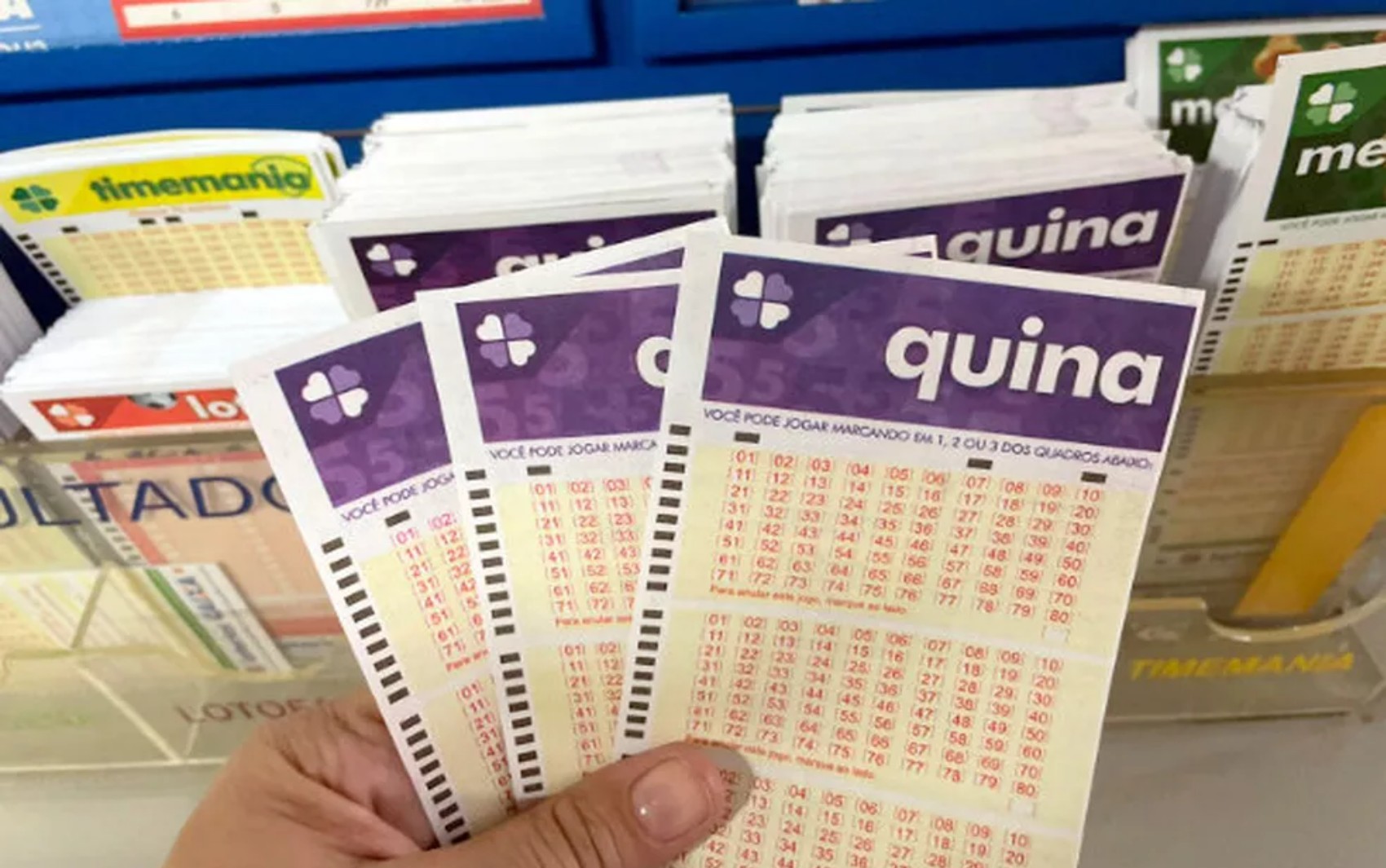 Quina hoje: resultado do concurso 7061 e números sorteados