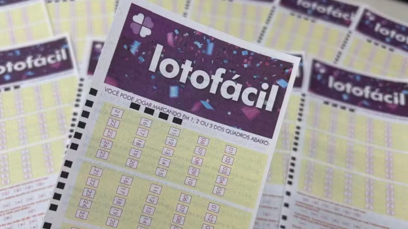 Resultado da Lotofácil 3746: duas apostas do Piauí acertam 14 números; veja valores