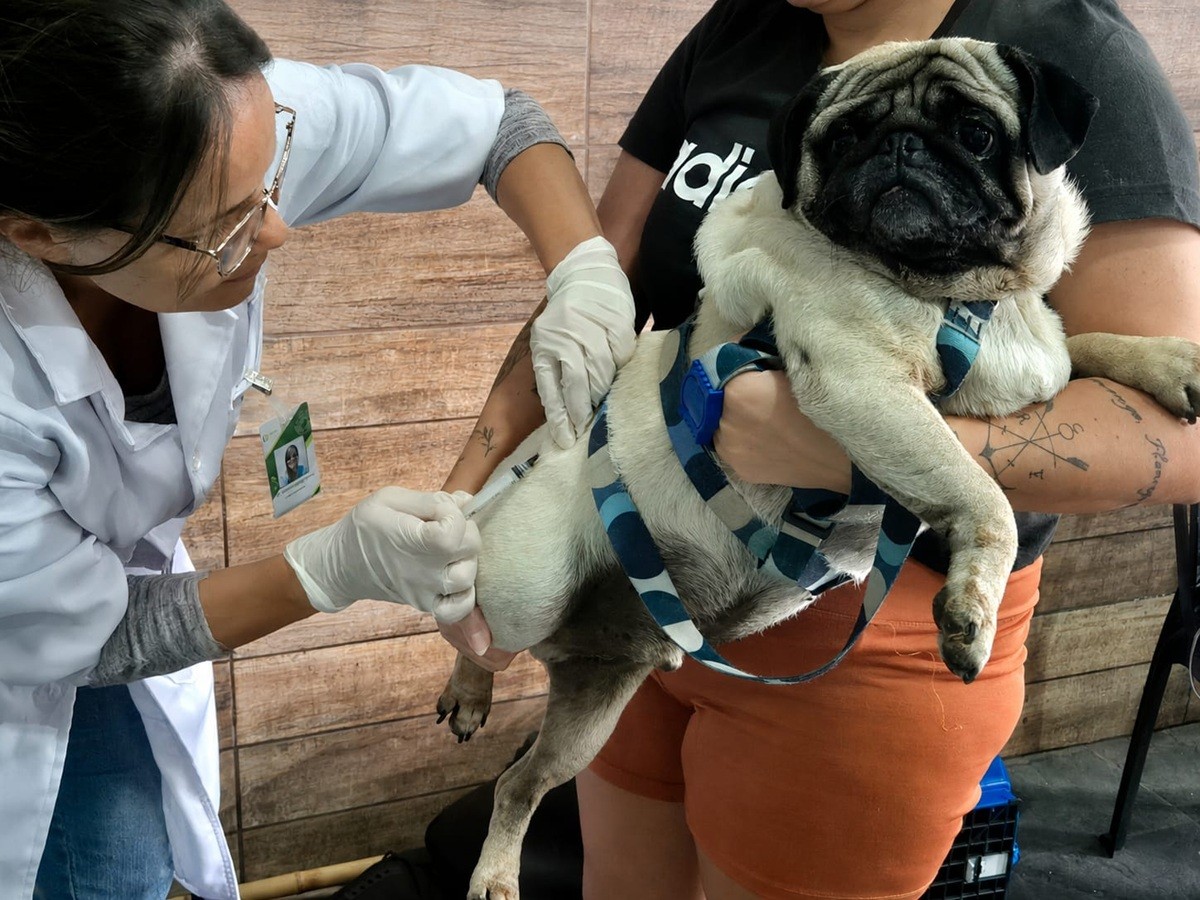 Prefeitura de Serrinha amplia vacinação antirrábica canina para zona rural