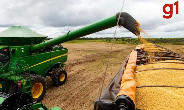 Brasil x Japão: país asiático comprou mais de 535 mil toneladas de soja de Mato Grosso em 2025