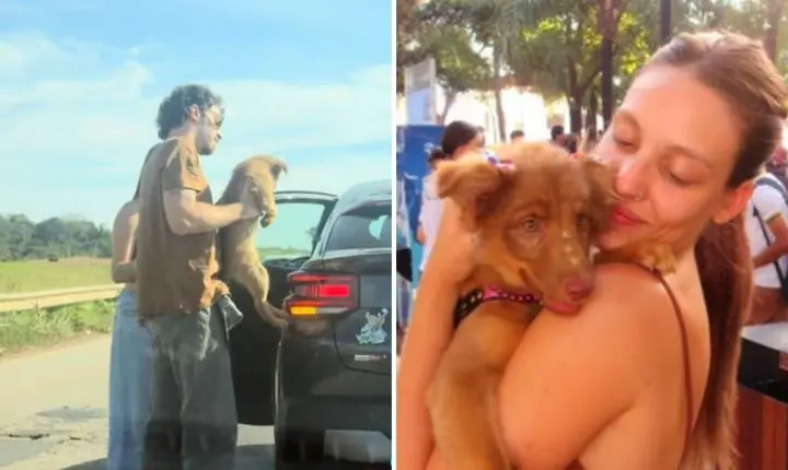 Casal de Goiânia salva cadelinha de atropelamento, adota o animal e vídeo emociona nas redes
