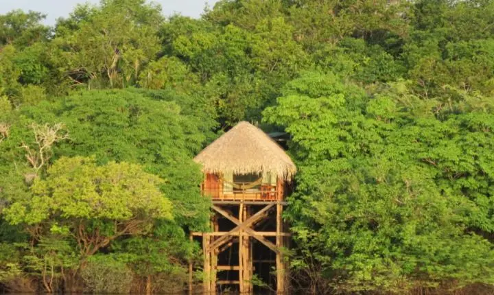 Como é dormir na floresta Amazônica? Conheça experiências em hotéis de selva no Amazonas