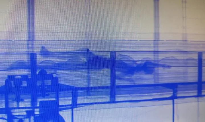 Corpo encontrado em contêiner no Porto de Santos segue sem identificação; PF tem o DNA