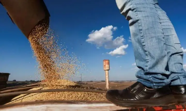EUA podem perder para o Brasil o papel de maior exportador agrícola do mundo, diz Financial Times