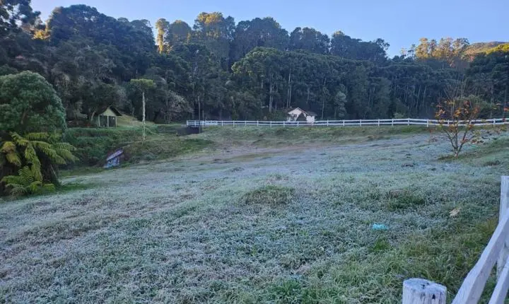 Geada Sul de Minas