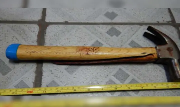 Homem acusado de matar mãe com mais de 20 marteladas na cabeça após ser filmado apanhando dela é julgado