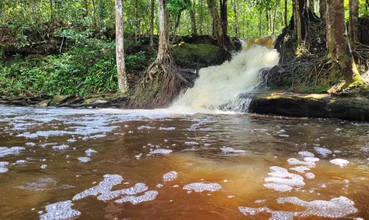 Homem desaparecido após sofrer descarga elétrica é encontrado morto em lago de Presidente Figueiredo
