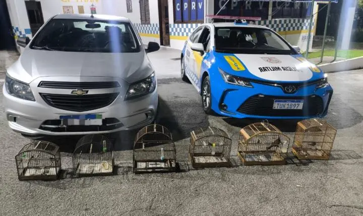 Homem é detido com seis pássaros silvestres na RJ-145, em Piraí 