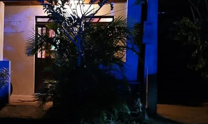 Homem é morto a golpes de facão após discussão em Rafael Jambeiro; sobrinho foi preso em flagrante