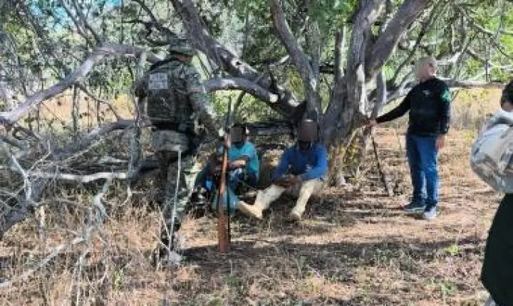 Inema e Polícia Militar combatem caça ilegal de avoantes com operação no Semiárido Baiano
