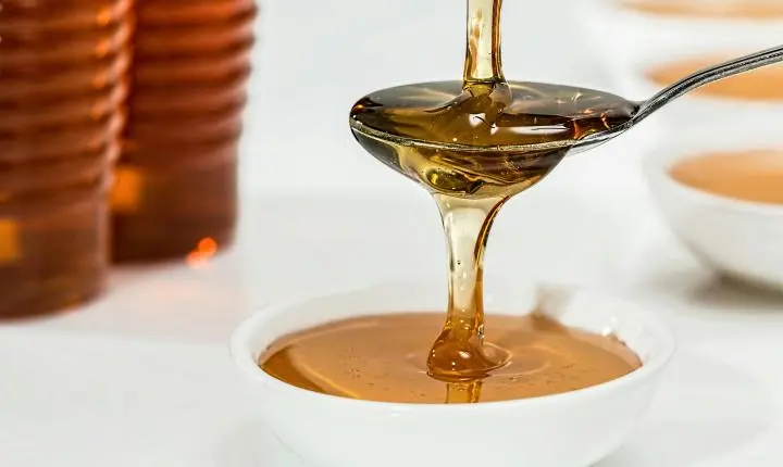 Mel que pode custar R$ 600 o litro: entenda por que o produto de abelhas sem ferrão é mais caro