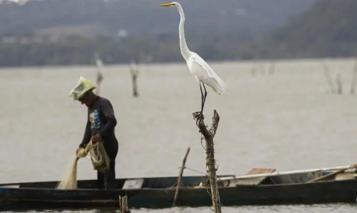 Mudanças aprovadas para o seguro-defeso previnem fraudes, diz relator