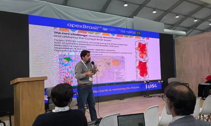 Na COP17, ciência brasileira debate restauração da Caatinga e combate à desertificação