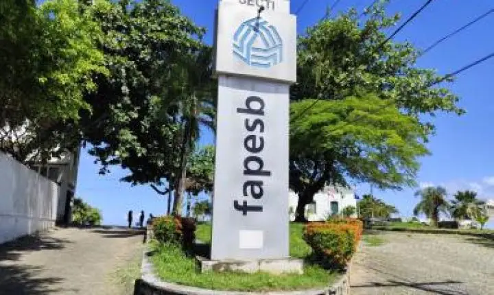 Prêmio Bahia Faz Ciência de Jornalismo reconhece produções que aproximam a ciência da sociedade
