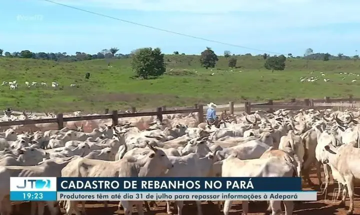 Produtores rurais têm até 31 de julho para atualizar cadastro de rebanhos no Pará