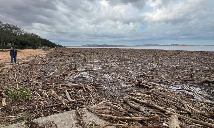 Troncos e destroços levados pelas fortes chuvas invadem praia e interrompem operação do Catamarã no Guaíba