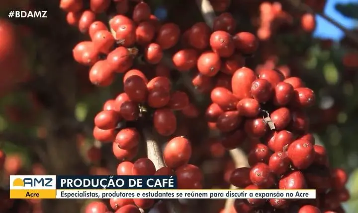 VÍDEOS: Bom Dia Amazônia desta quinta-feira, 23 de julho de 2026
