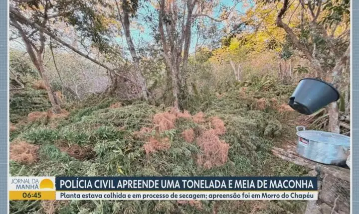 Vídeos do g1 e TV Bahia - quarta-feira, 8 de julho de 2026
